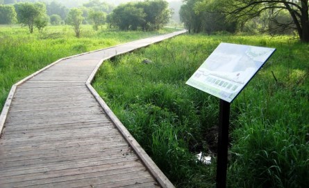 wooden boardwalk Trail head with sign