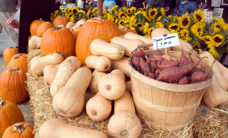 basket of squash and seasonal vegetables