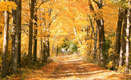 Hungry Hollow Trail