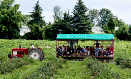 An image of a tractor pulling a bunch of people on a tractor tide