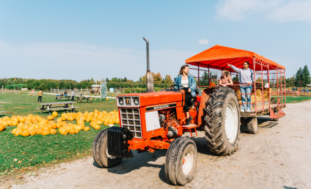 Two girls sitting on a red wagon ride