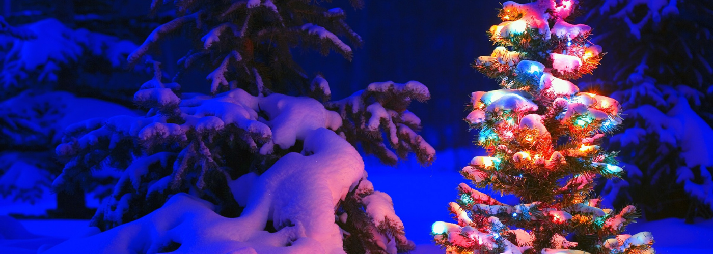 Things To Do in Halton Hills This Holiday Season Visit Halton Hills