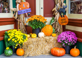 Halloween in Halton Hills