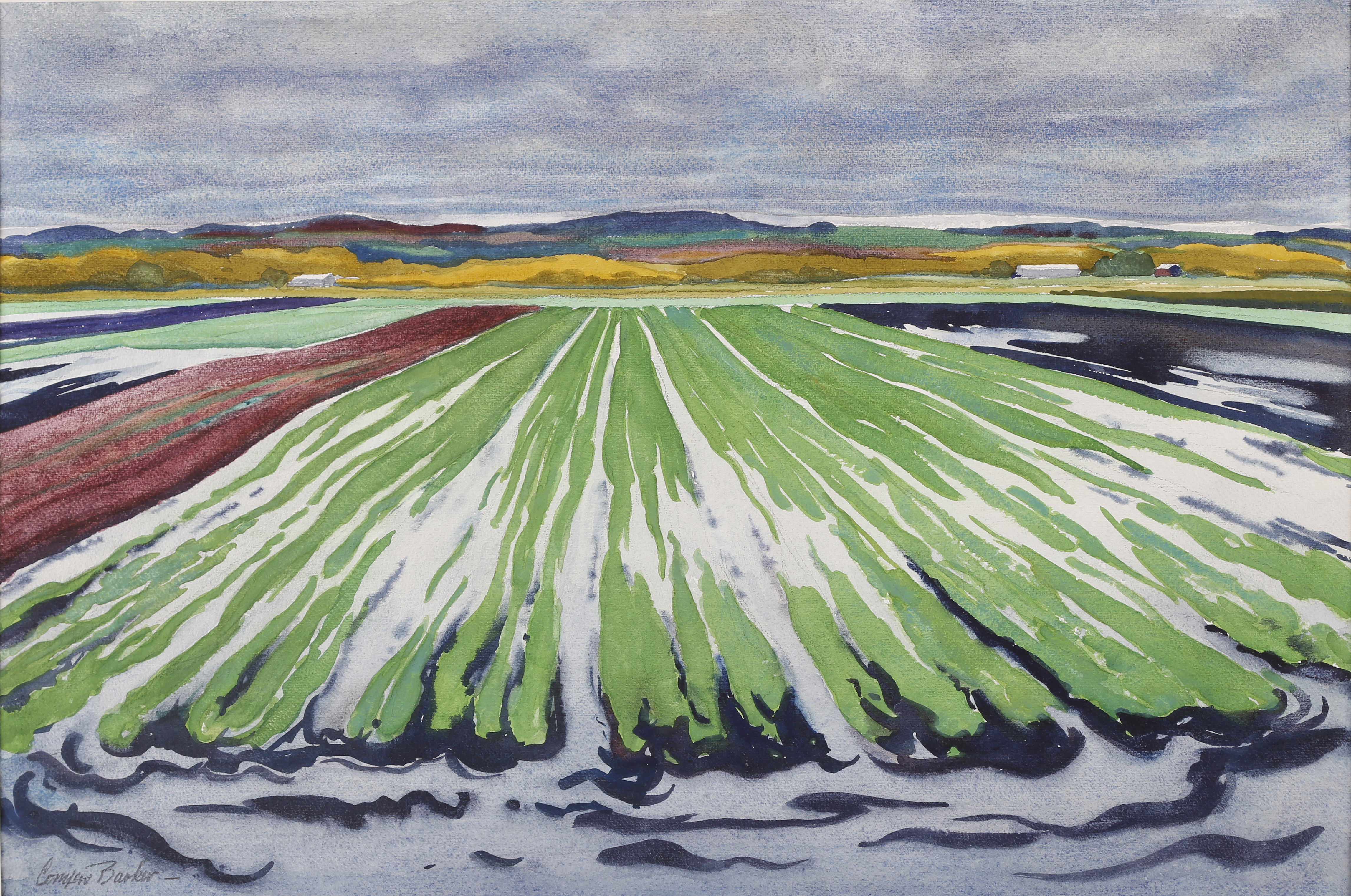 a painting of a farmers field from an ariel view