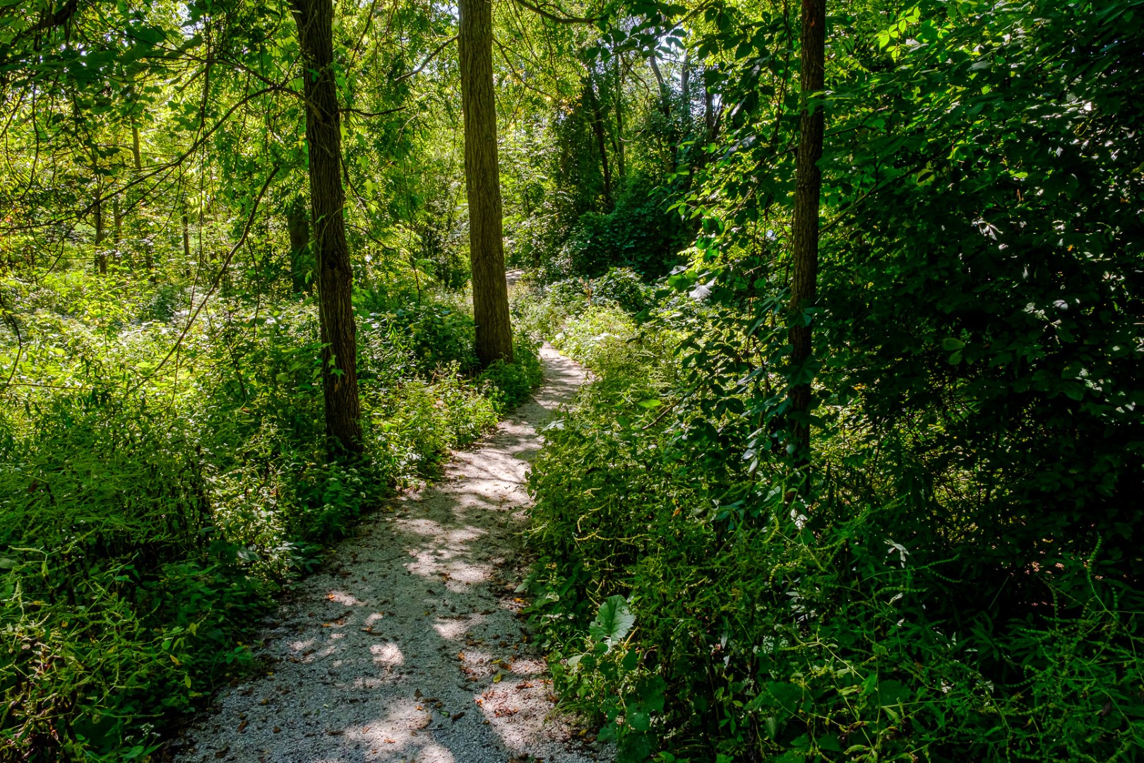 Culture Days Visit Halton Hills