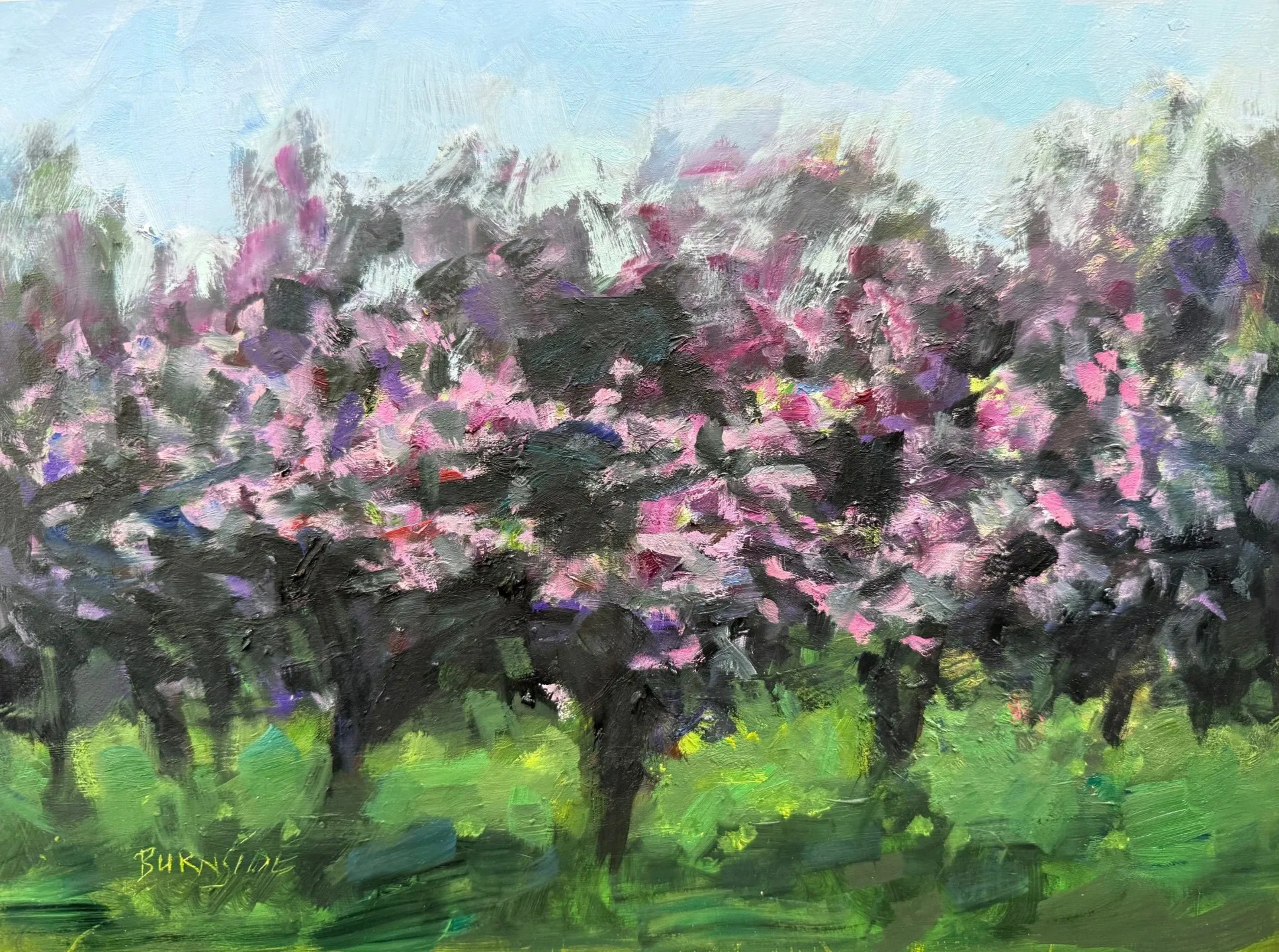 A painting of an apple tree blossoming pink flowers