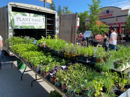 Stall of plants for sale at a Farmer's Market