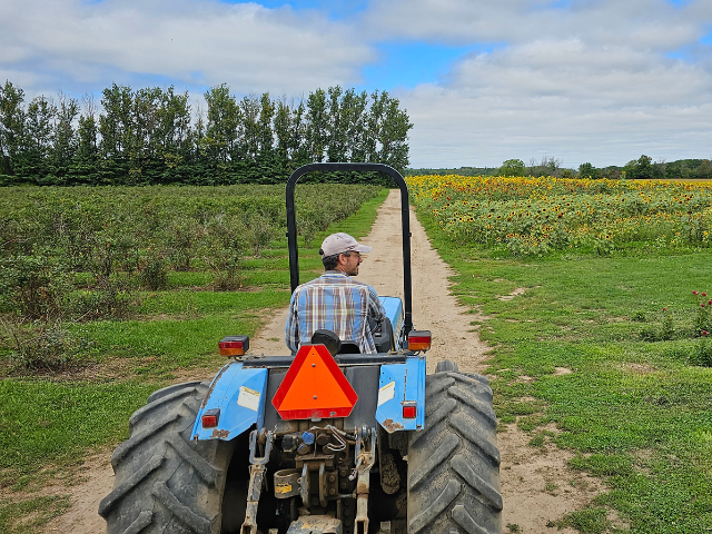 An image of a person driving a blue tractor in a field 