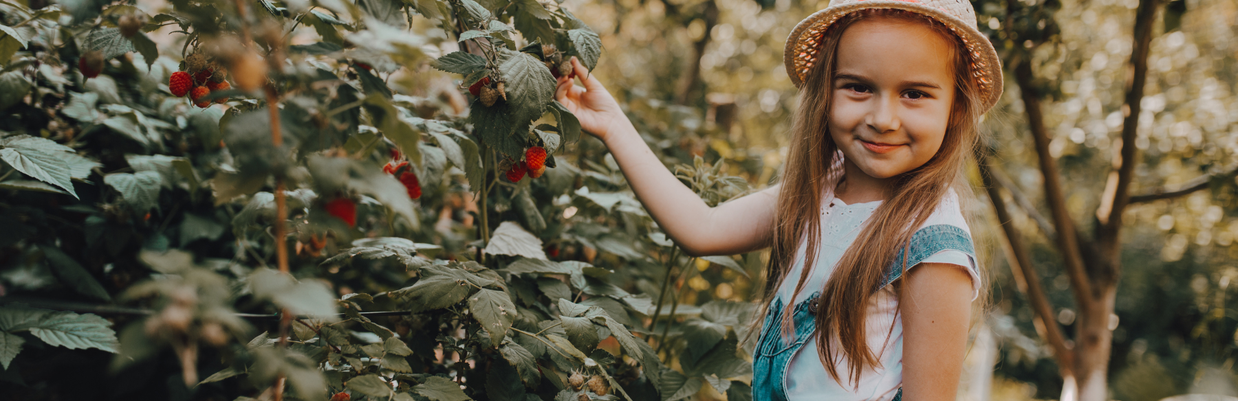 Young girl standing next to berry bushes