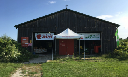 A picture of a brown barn