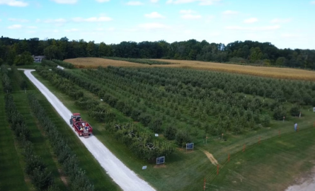 Wheelbarrow Orchards