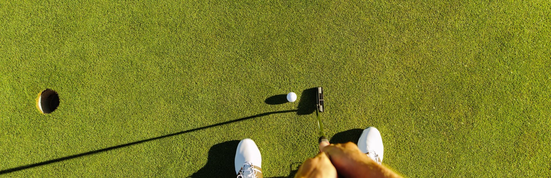 Golf Ball and Course