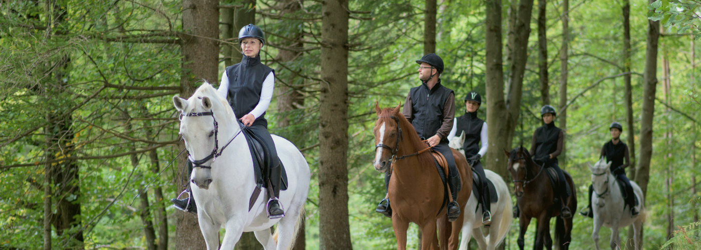 group horse back riding in forest
