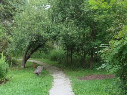 outdoor path with lush green forest and grass