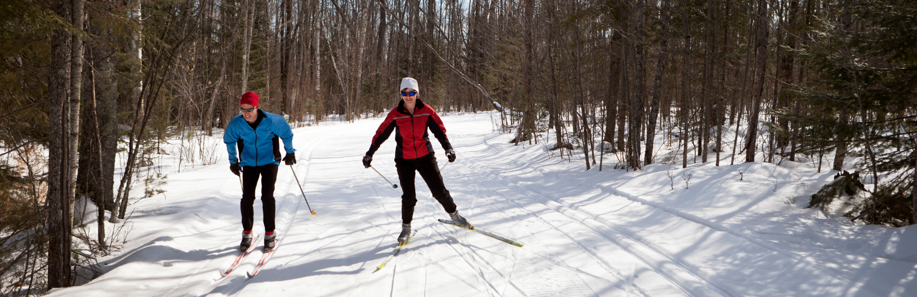 Two people cross country skiing on a trail in the winter