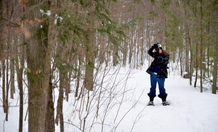 person taking photo with camera in winter landscape