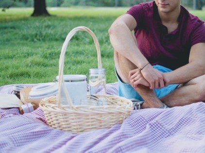 Picnic in the Park