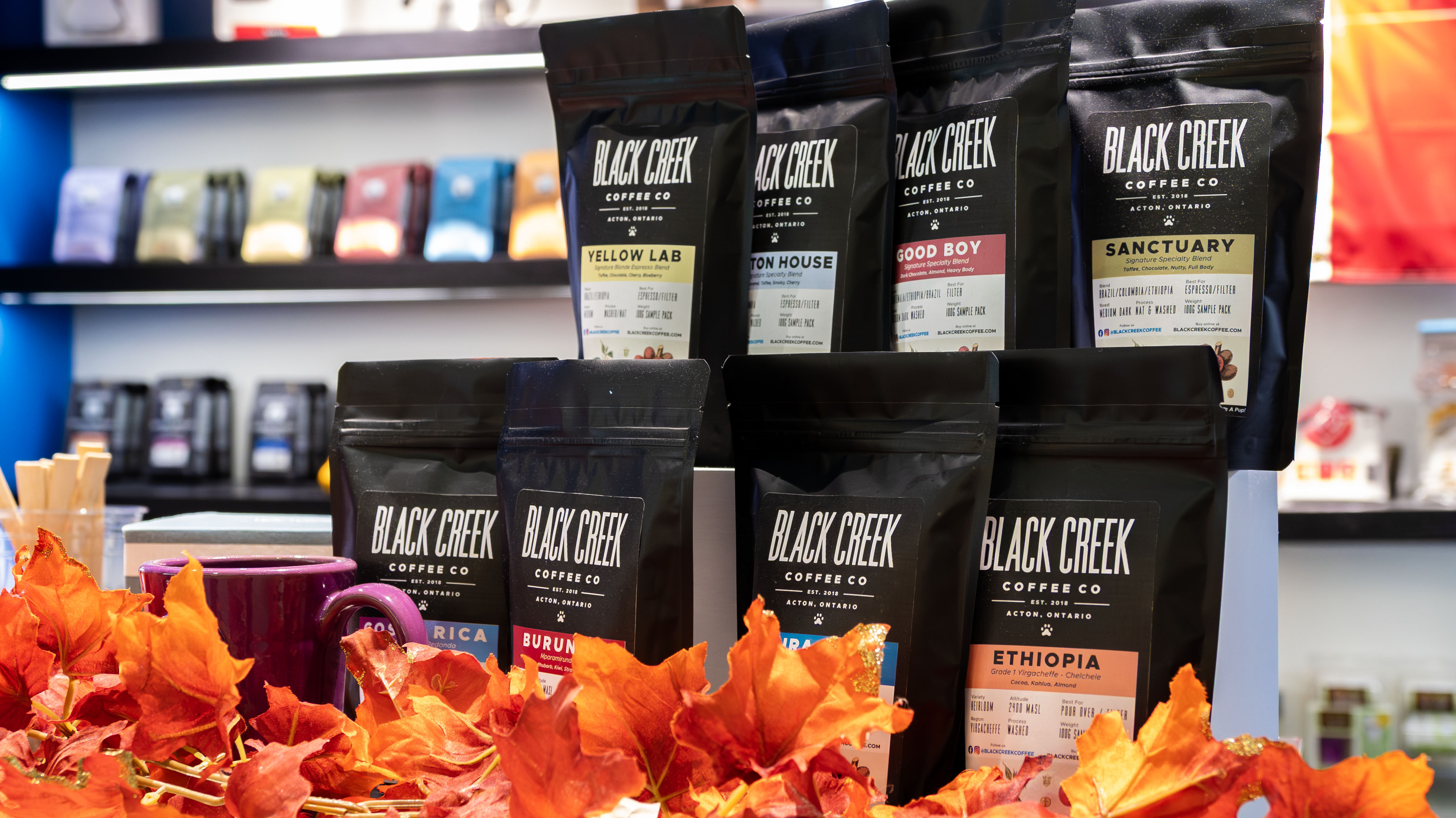 roasted coffee bags