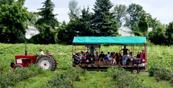 Wagon Ride at Andrew Scenic Acres