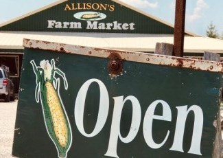 Open Sign in front of Allison's Farm Market sign